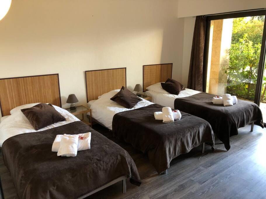 Loucisa Piscine Vue 8 Chambres 25 Personnes Villa Nizza